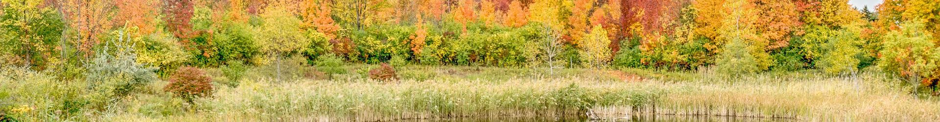 Farmington Hills Shutterstock 228577426 Cropped